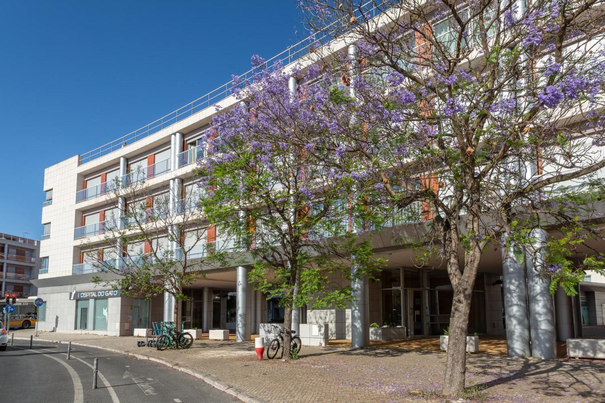 Beguest Premium Lisbon Suites Exteriér fotografie